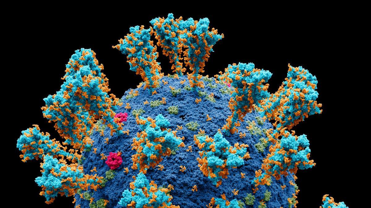 Recreación del virus SARS-CoV-2.