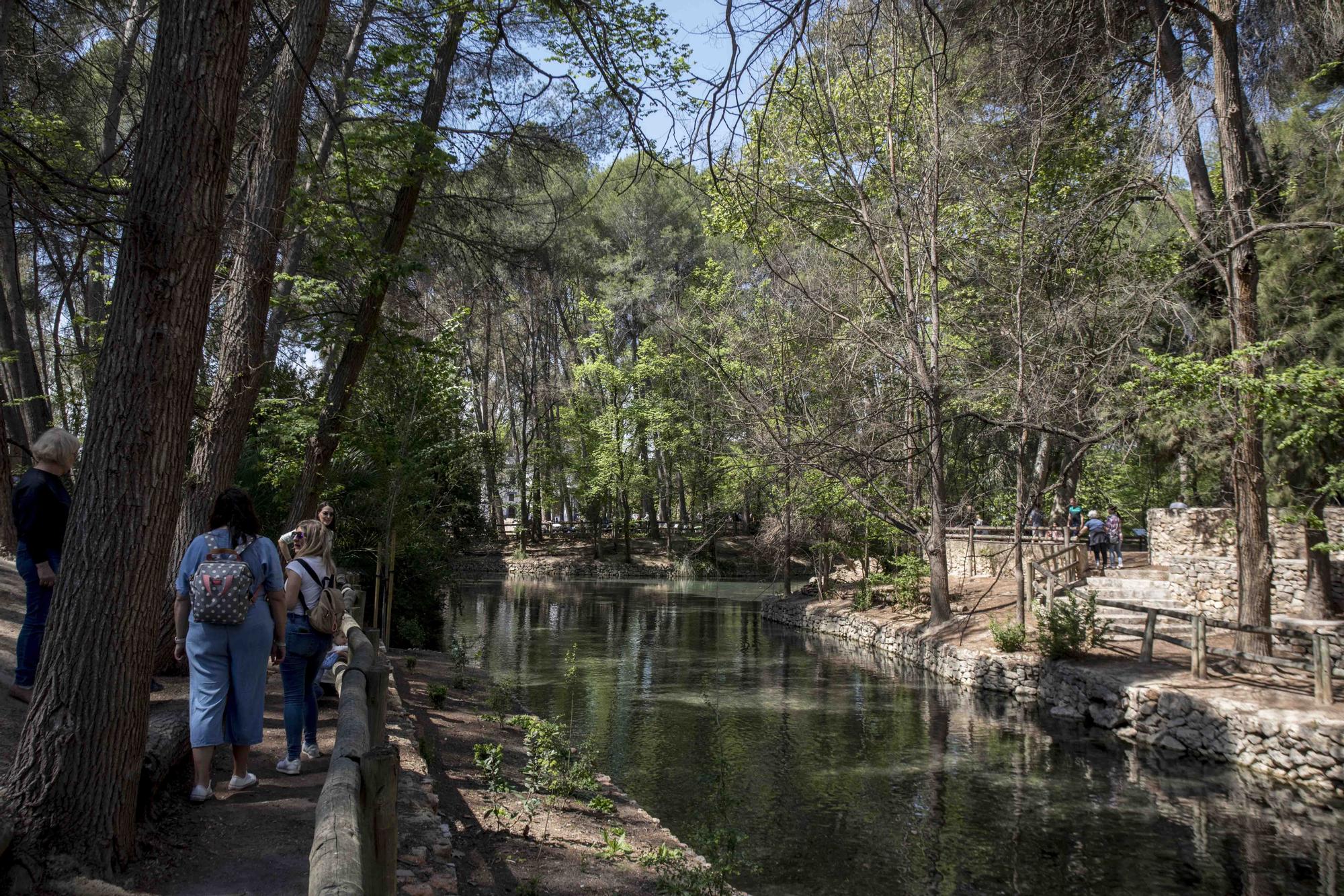 El Parc d San Vicent de Lliria vuelve a llenarse de familias dos años depués