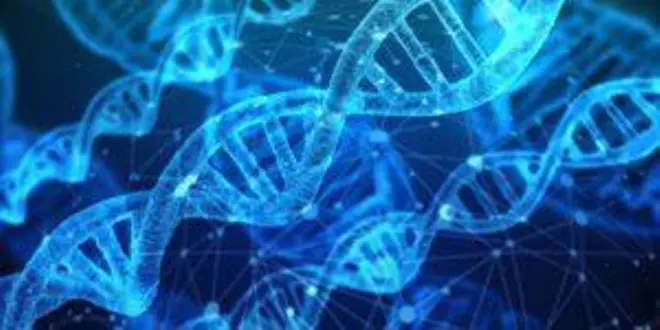 Los genes y la herencia