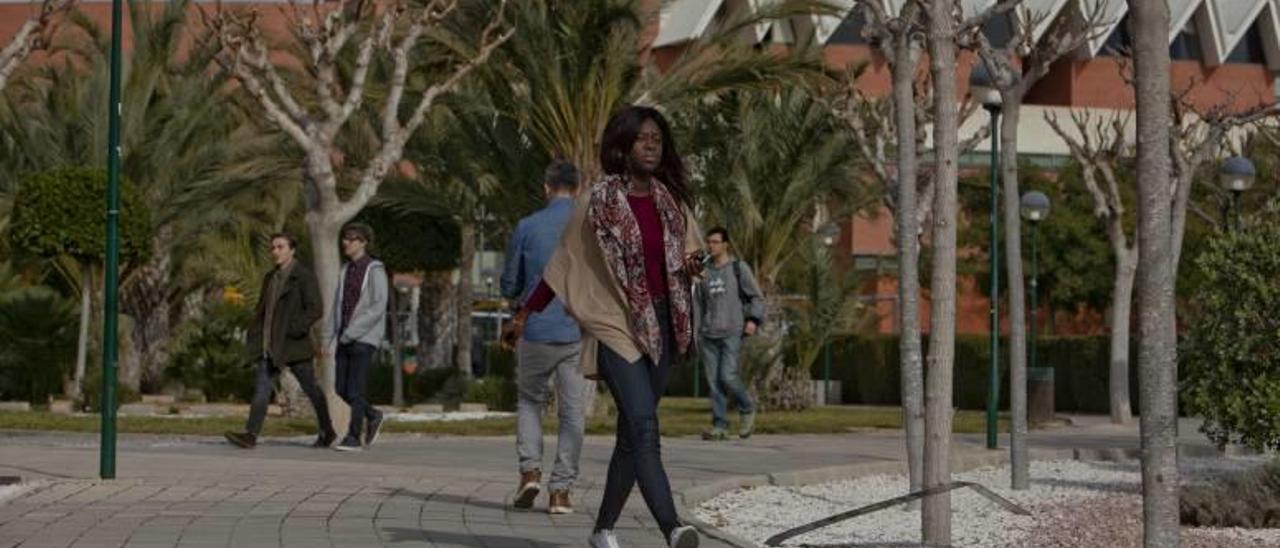 Una estudiante pasea por el campus de Elche de la Universidad Miguel Hernández (UMH).