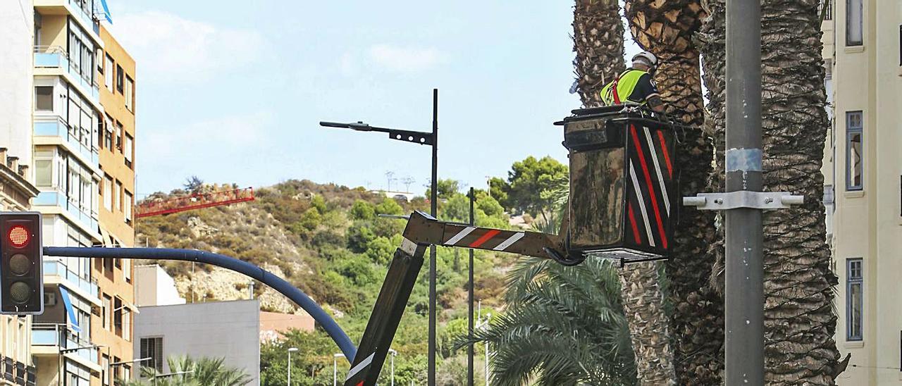 Un operario de la contrata realiza trabajos en el cableado y los boletines, en una imagen de archivo