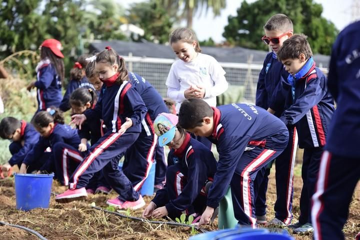 Visita escolar a la Granja Agricola del Cabildo