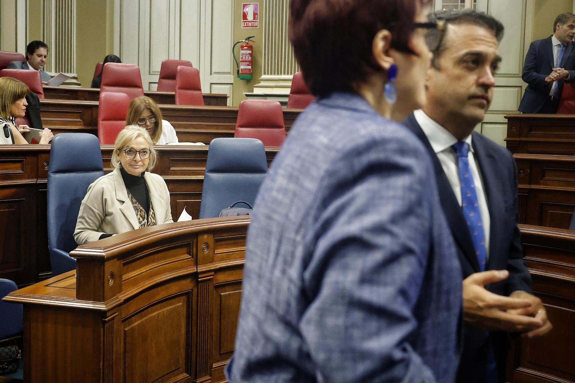 Pleno del Parlamento (08/04)