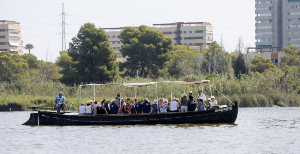 Regata-exhibición de vela latina en l'Albufera