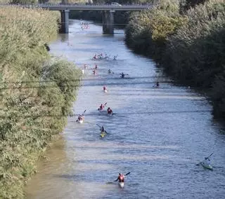 La eliminación de la caña en el Xúquer evitará riadas y creará un gran corredor verde de 75 km