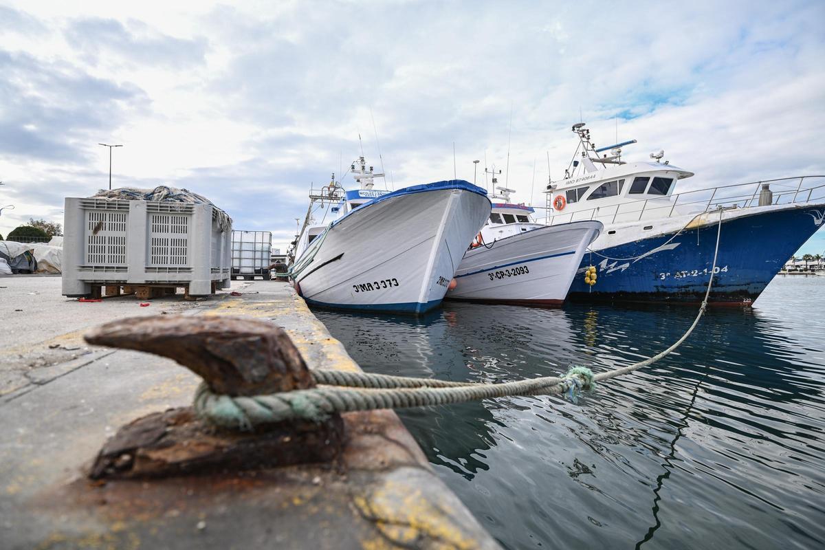 La flota pesquera alicantina amrrada contra las últimas exigencias de la Unión Europea