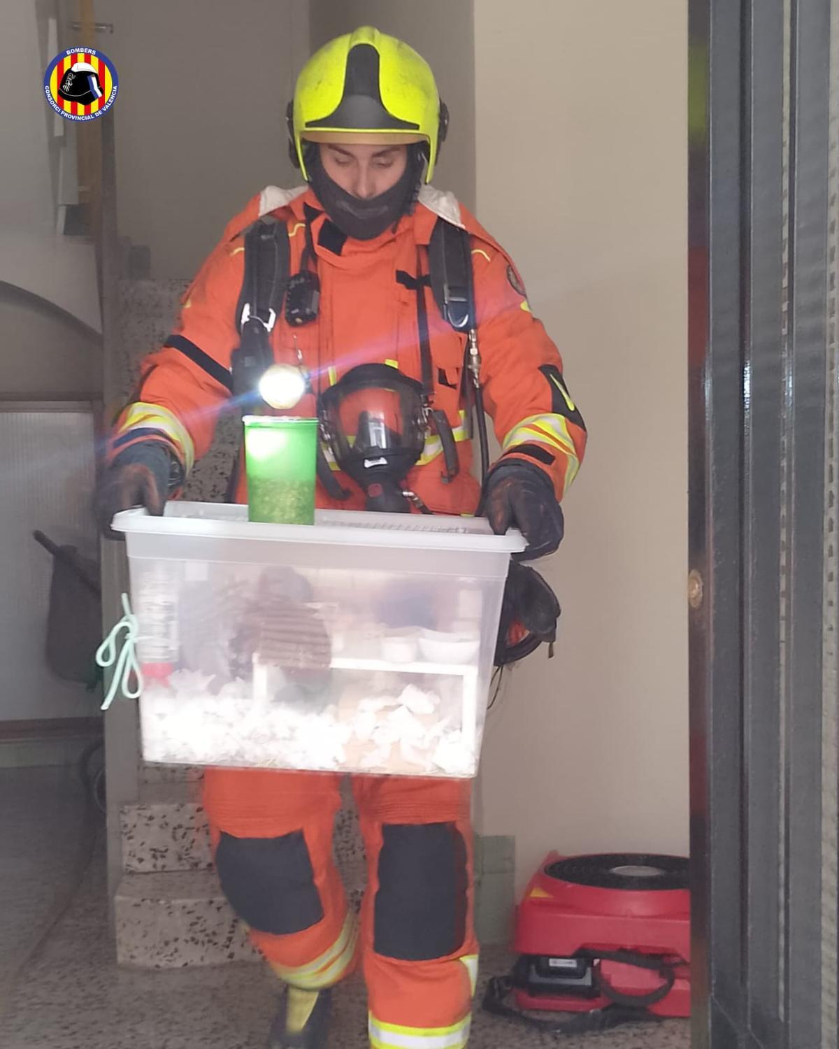 Un bombero extrae de la vivienda el hámster.