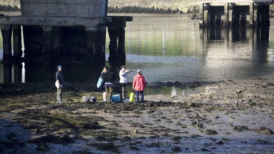 Mariscadoras, en la ría de O Burgo.