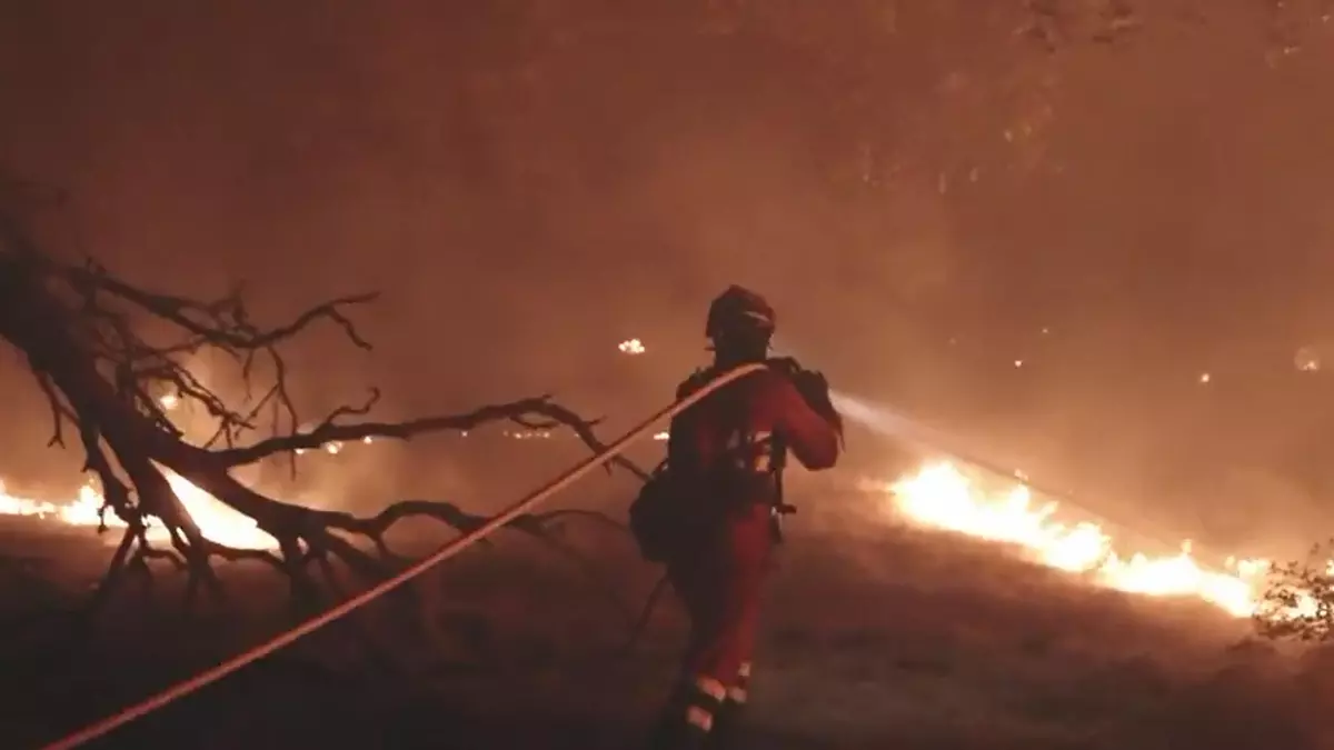 El incendio de Jarilla en Extremadura avanza hacia la estabilización y el del municipio de Pallares calcina 5.000 hectáreas