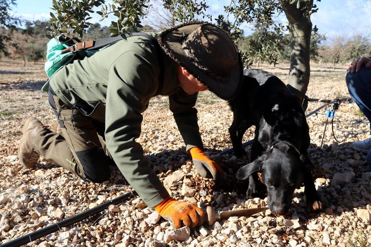 Un tofonaire amb el seu gos en una jornada de cerca