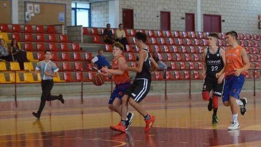 Encuentro entre el Baltic Stars y Obradoiro. // Noé Parga