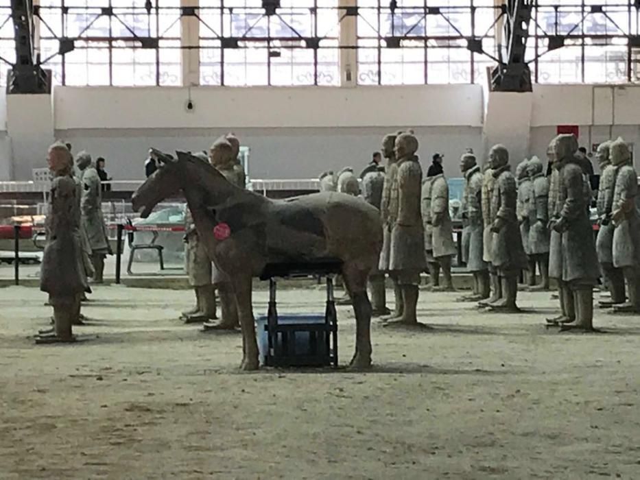 El MARQ traerá 9 guerreros y un caballo de Xian