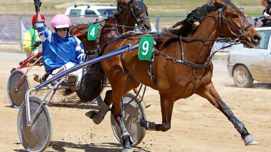 Hammer Photo se muestra pletórico en el hipódromo ‘rafeler’ con Marta Cívico