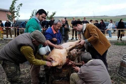 Matanza tradicional en Monfarracinos