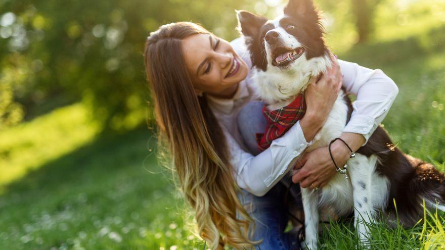 Cinco ejercicios perfectos para entrenar la mente de tu perro