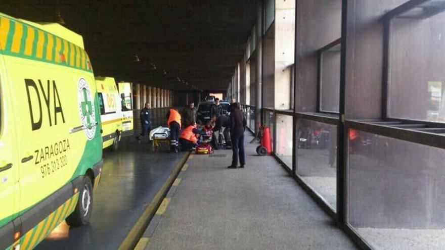 La suerte de adiestrar voluntarios