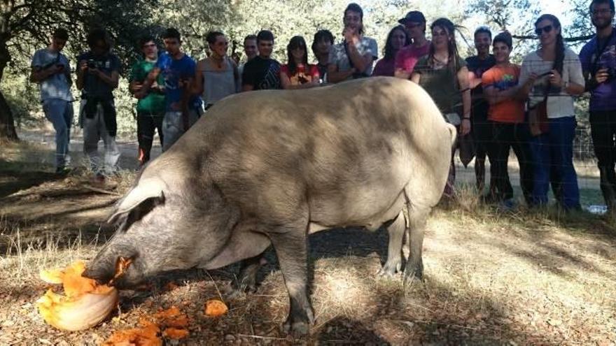 L&#039;Escola Agrària de Manresa viatja al sud de Portugal i a Huelva