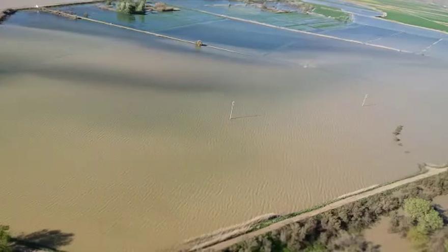 Crecida del Ebro en Pina de Ebro