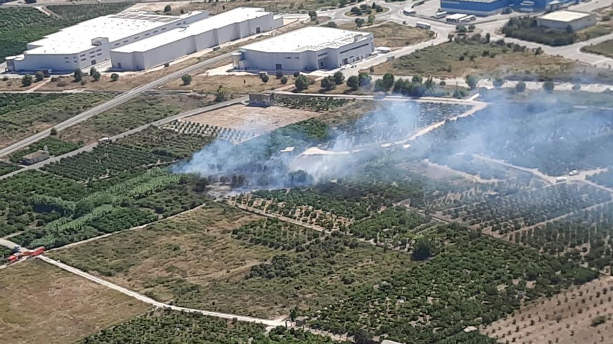 Incendio forestal en Palmera.