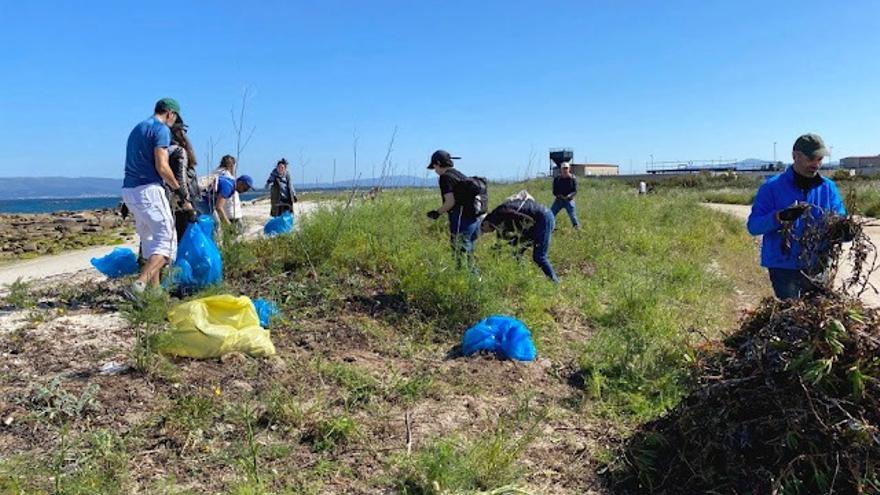 Pujante voluntariado ambiental en la costa de O Grove