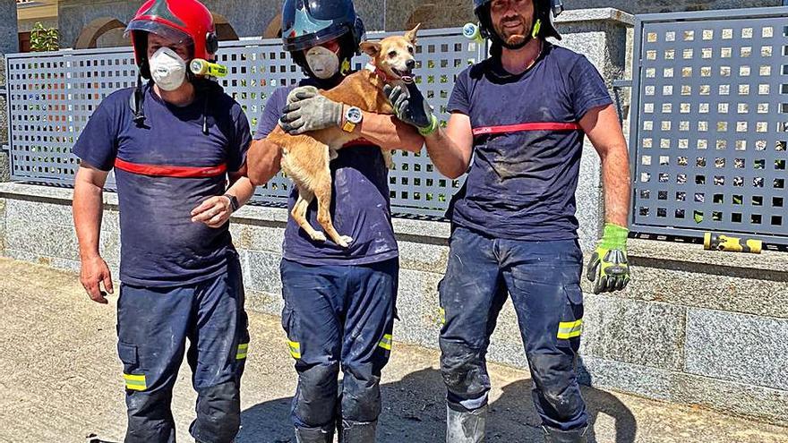 Los tres bomberos posan con el perro tras el rescate. | Consorcio