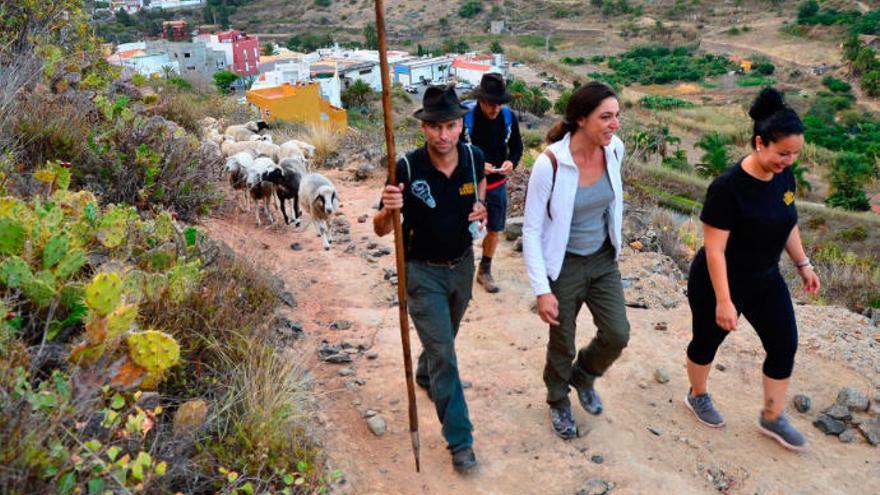 Los pastores Airam Rivero y Esmeralda Santana con la concejala Belén Hidalgo, durante la primera etapa del camino.