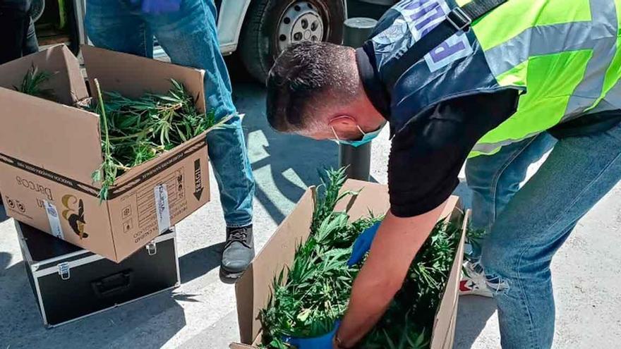 Detenido por narcotráfico uno de los menores  de la manada de Corea