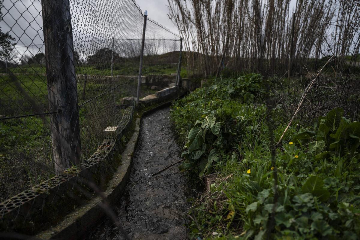 Galería | Estado del Marco tras el desembalse del Guadiloba en Cáceres