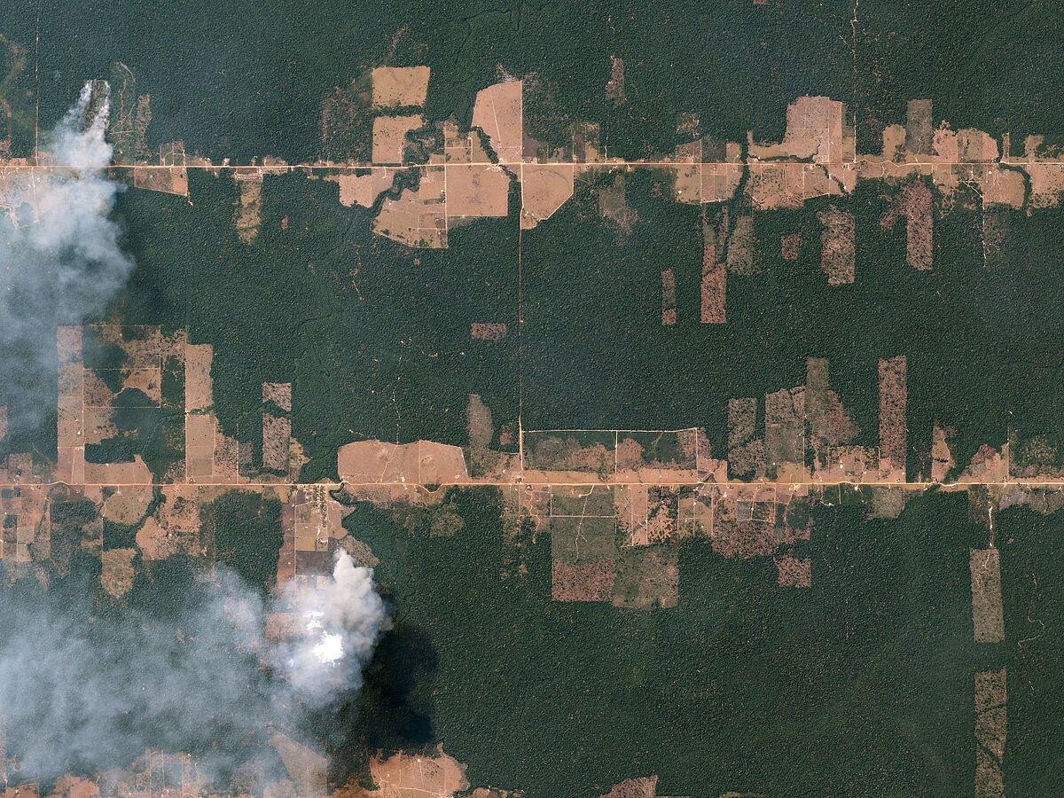 Vista por satélite de un proceso de deforestación