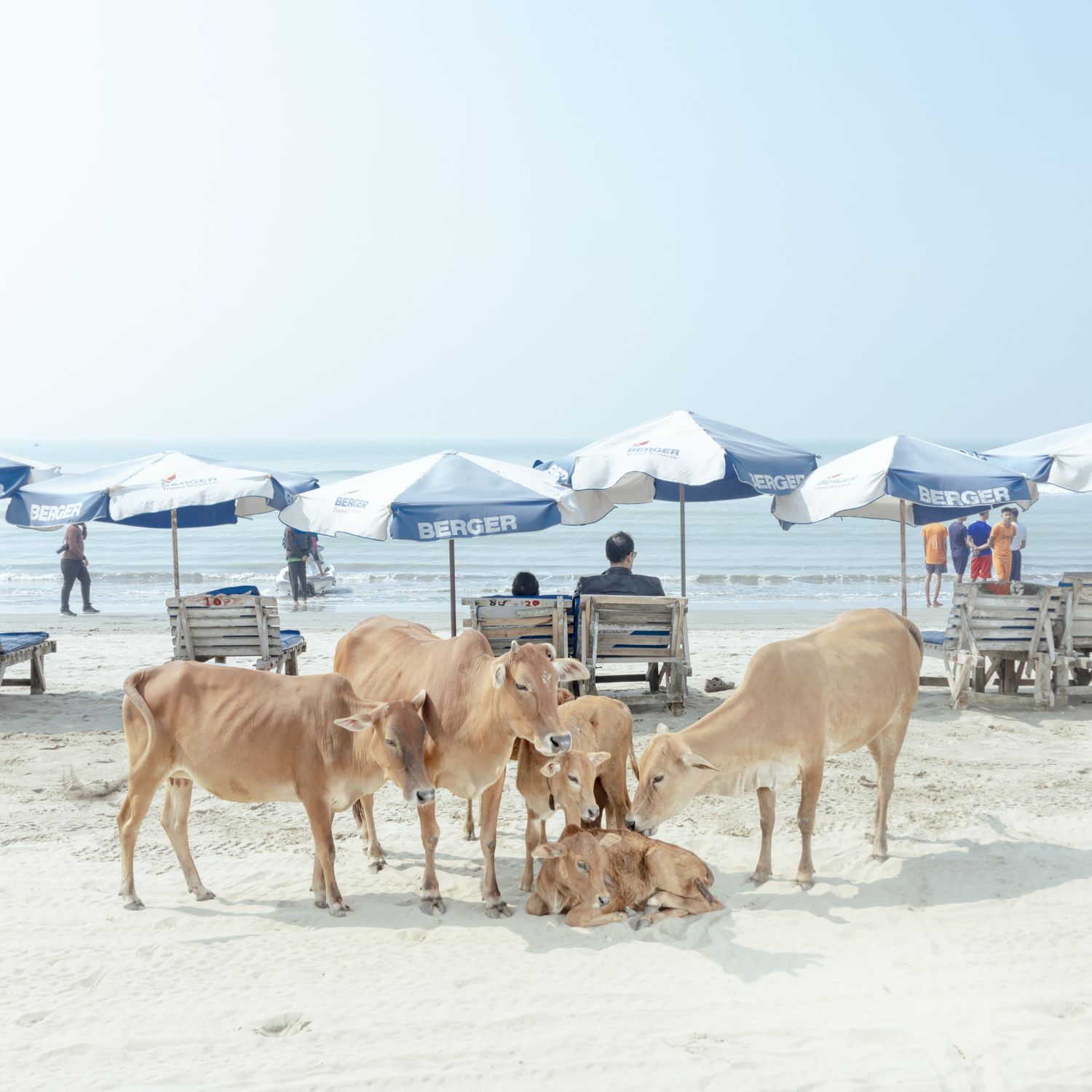 Ismail Ferdous_Sea Beach.JPG