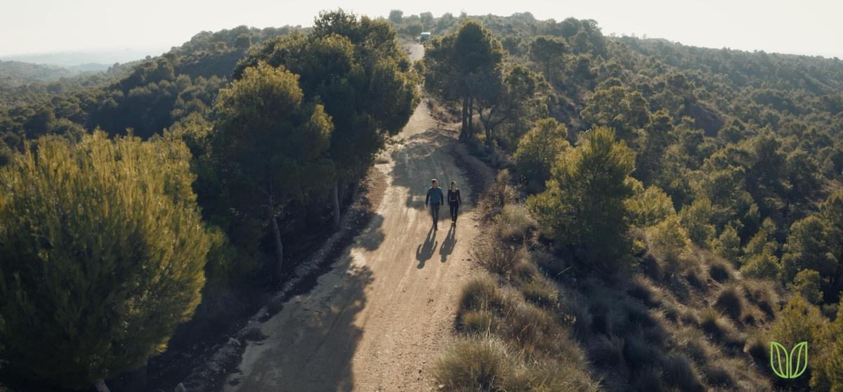 Senderistas recorriendo la ruta de La Algüeda.