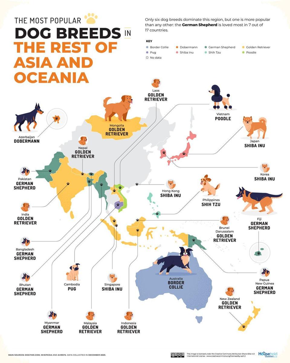 perros populares, resto de asia y oceania