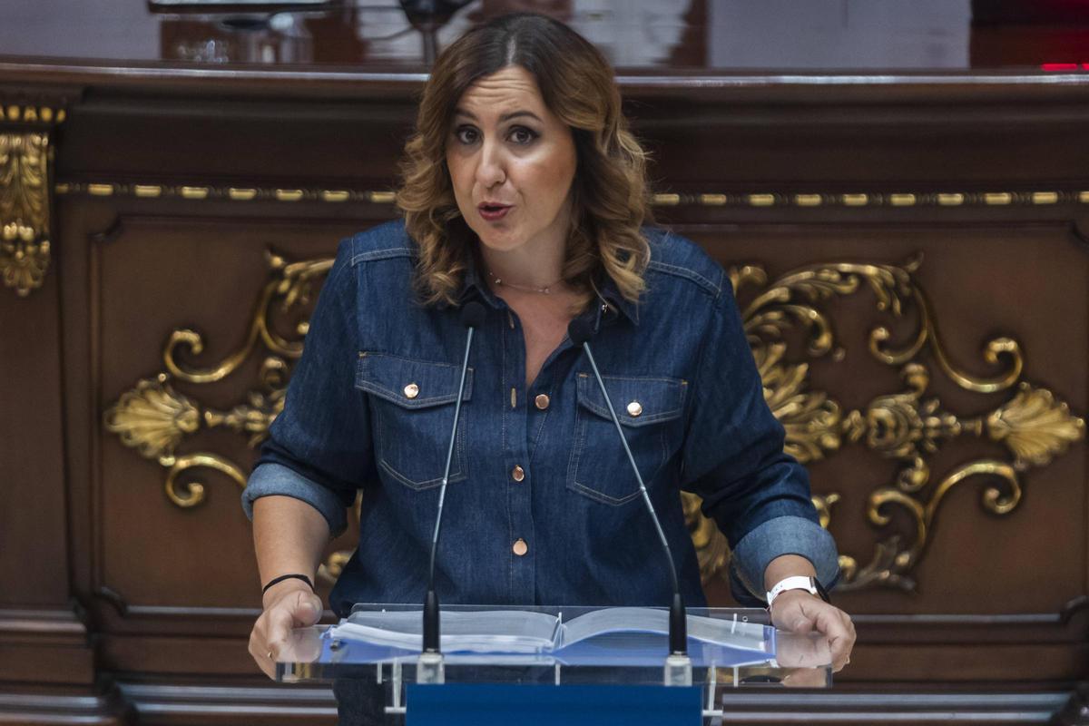 María José Catalá en el ple municipal de València