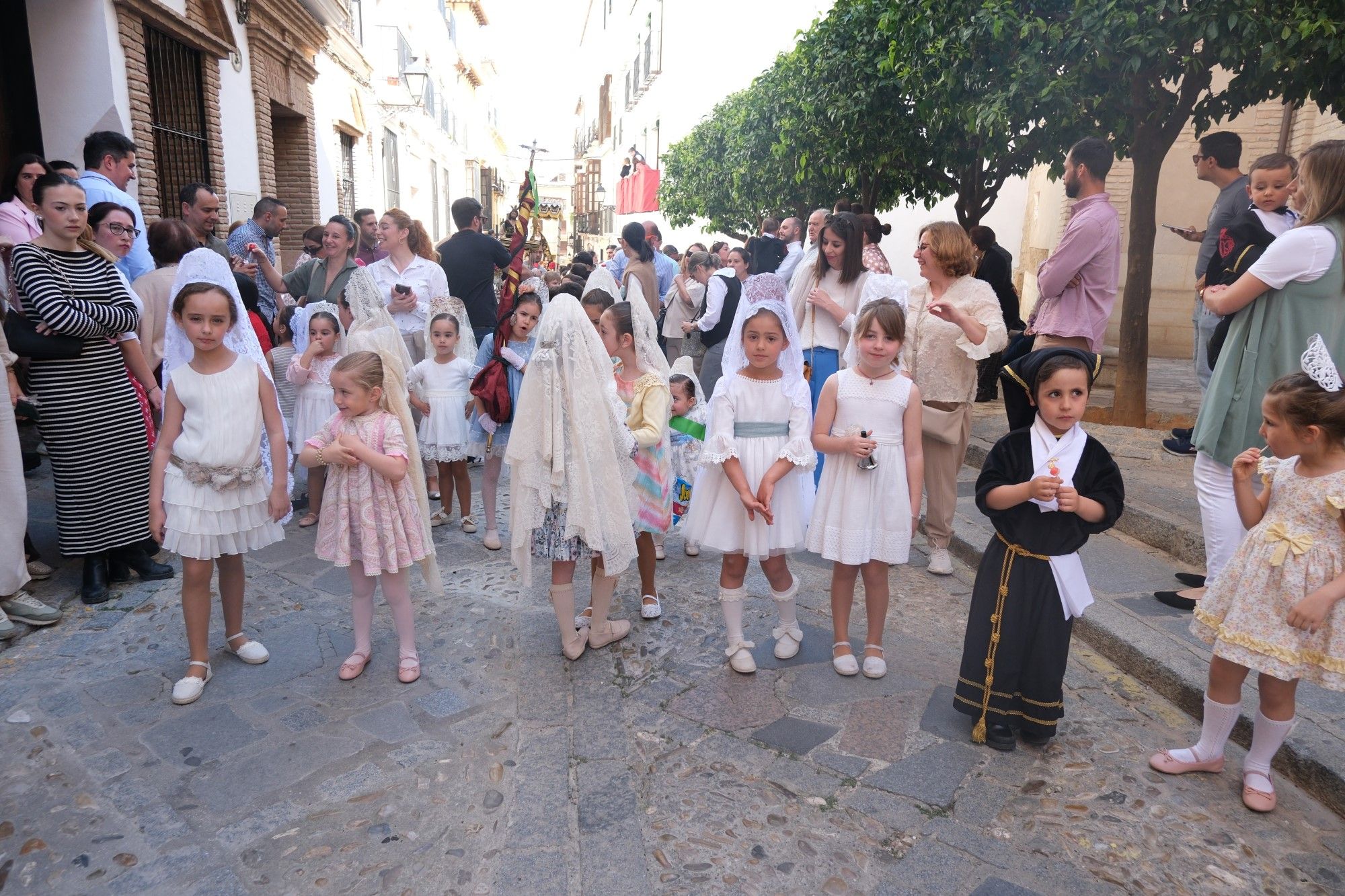 Concentración de tronos chicos en Antequera