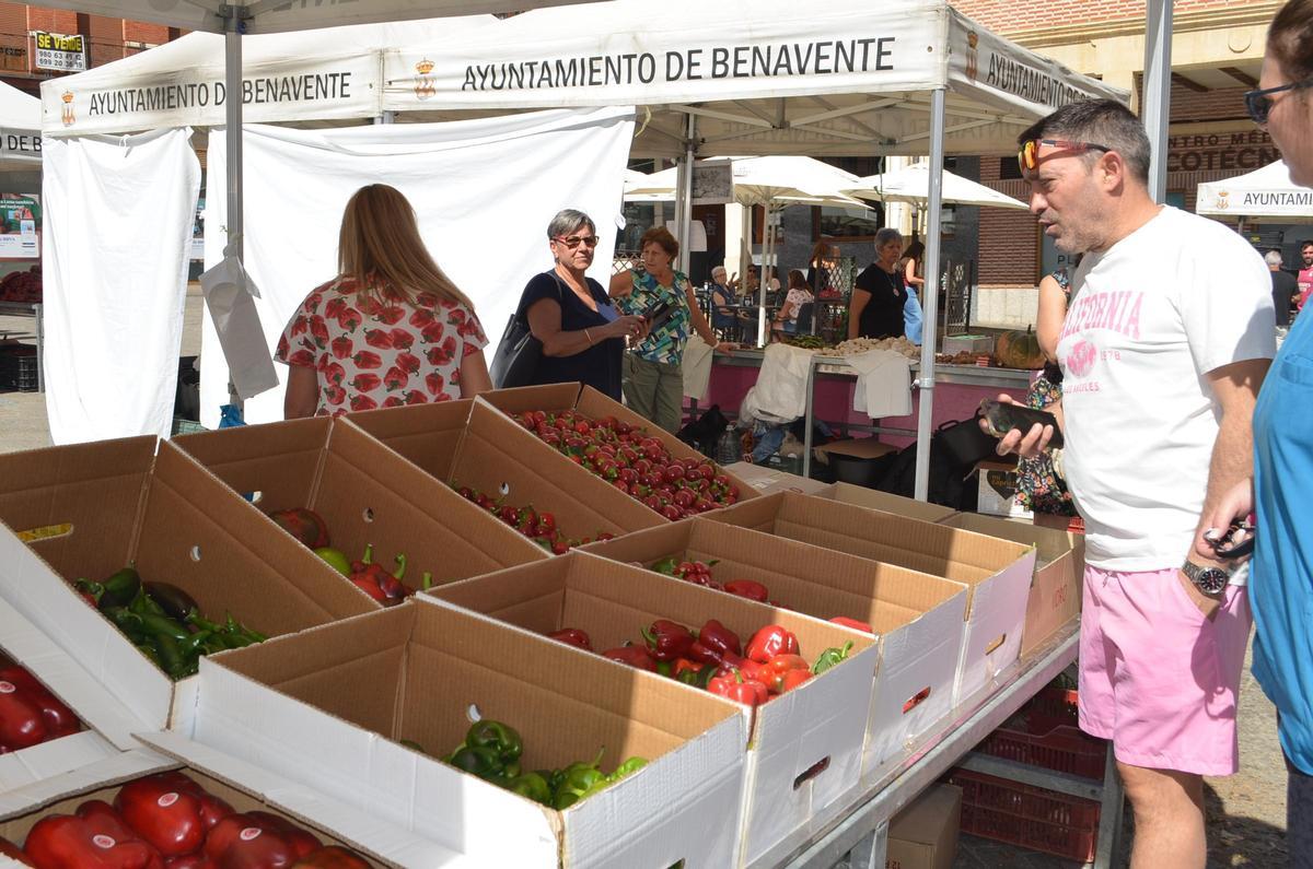La Feria del Pimiento de Benavente 2026, en imágenes La Feria del Pimiento de Benavente 2026, en imágenes