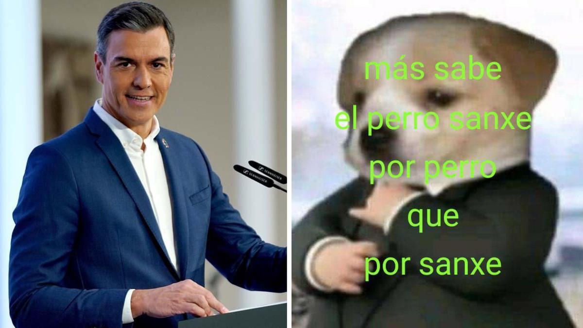 Así se ha unido el PSOE al meme para celebrar el Día Mundial del Perro