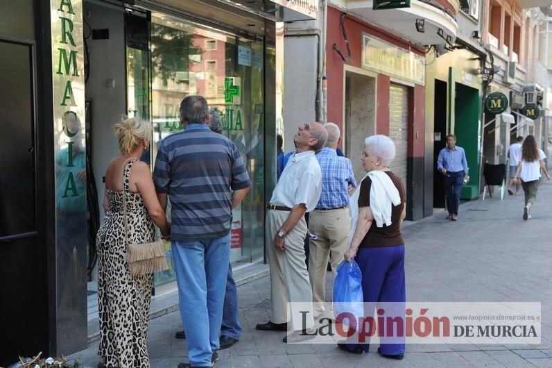 El día después de la caída de la rama del ficus de