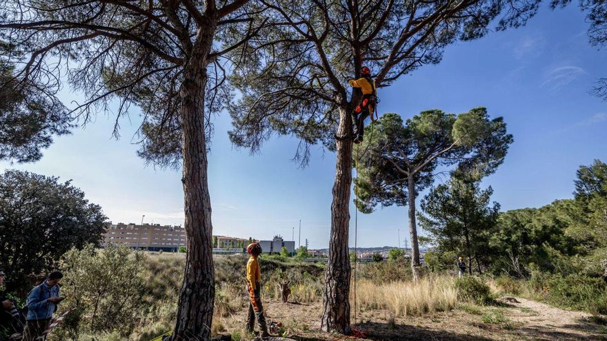 Presentació d’Endesa del pla de prevenció d’incendis en boscos de Catalunya, l’any passat.