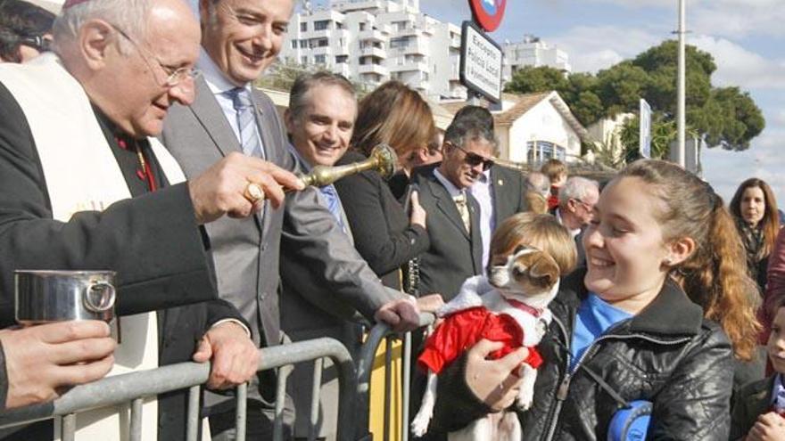 Un pequeño chihuahua recibe, no sin cierta reticencia, la bendición del obispo.