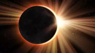 ¿Cómo afecta un eclipse de sol a los animales?