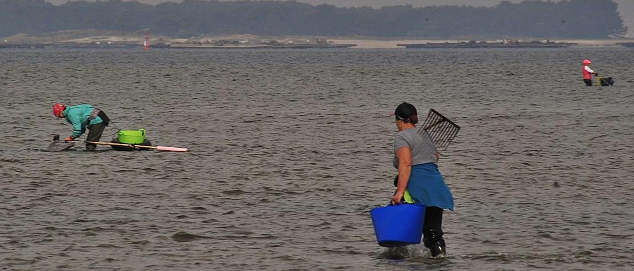 Imagen de archivo de mariscadoras en O Sarrido (Cambados). |  // IÑAKI ABELLA