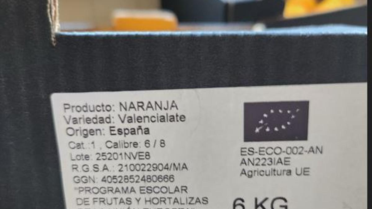 Naranjas distribuidas en un centro escolas de Alzira, en una imagen reciente.