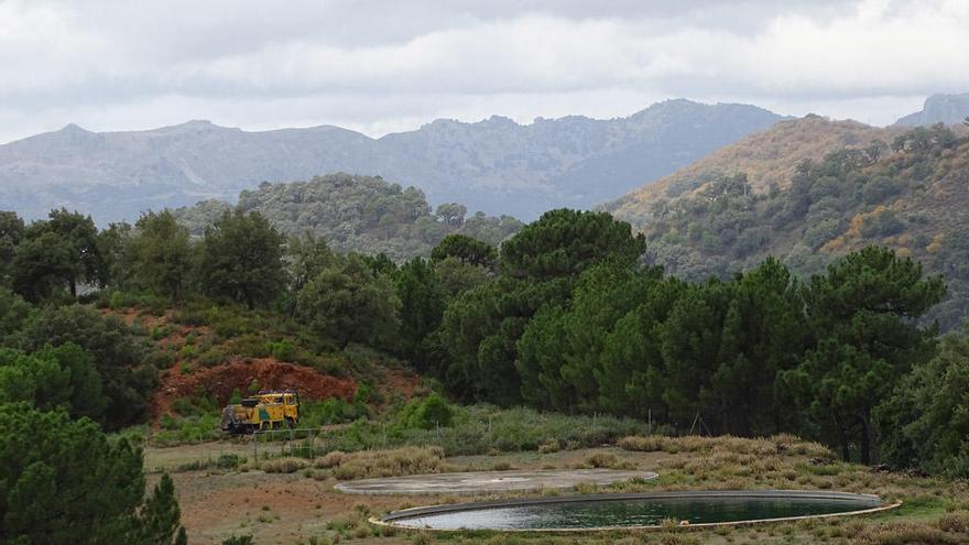 Imagen de unas balsas con agua en una finca forestal de Málaga.