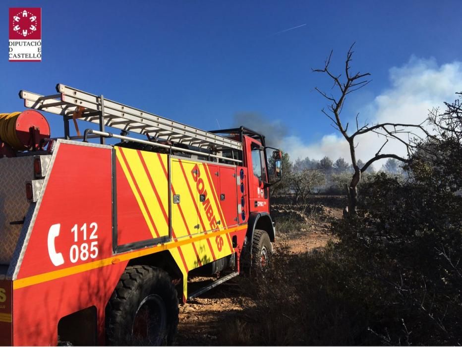Incendio forestal en Cabanes