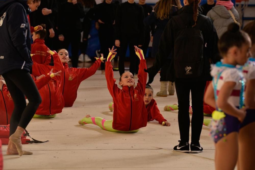 Campeonato Regional de Gimnasia Estética