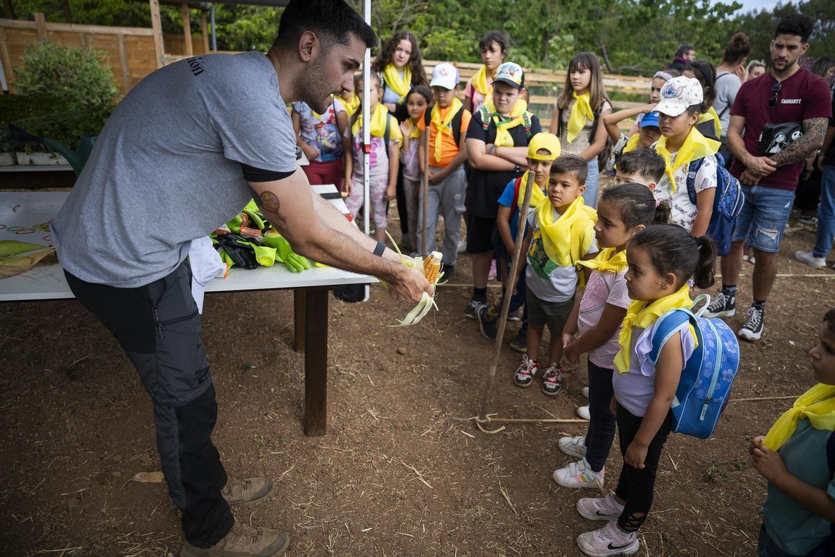 Un monitor muestra una piña de millo a los escolares.