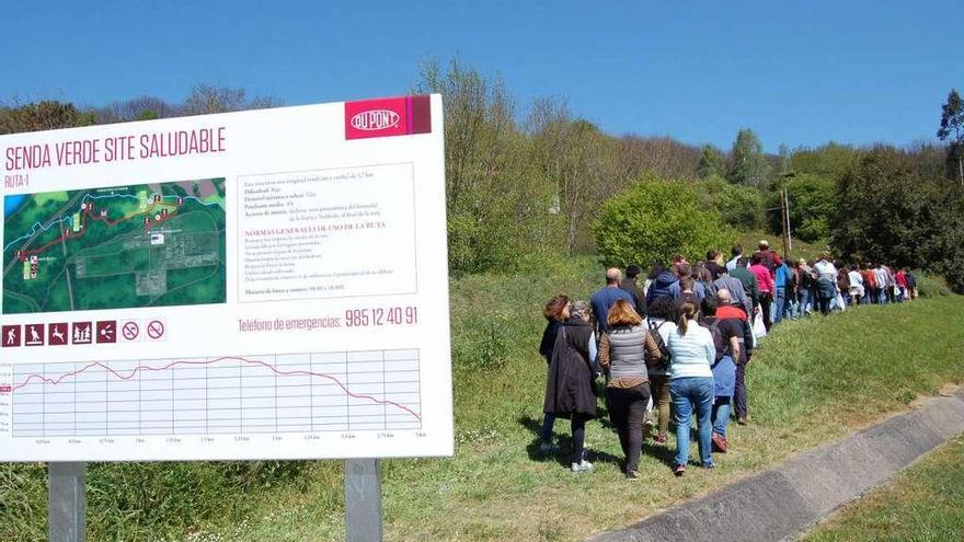 Una senda verde para que paseen los empleados.