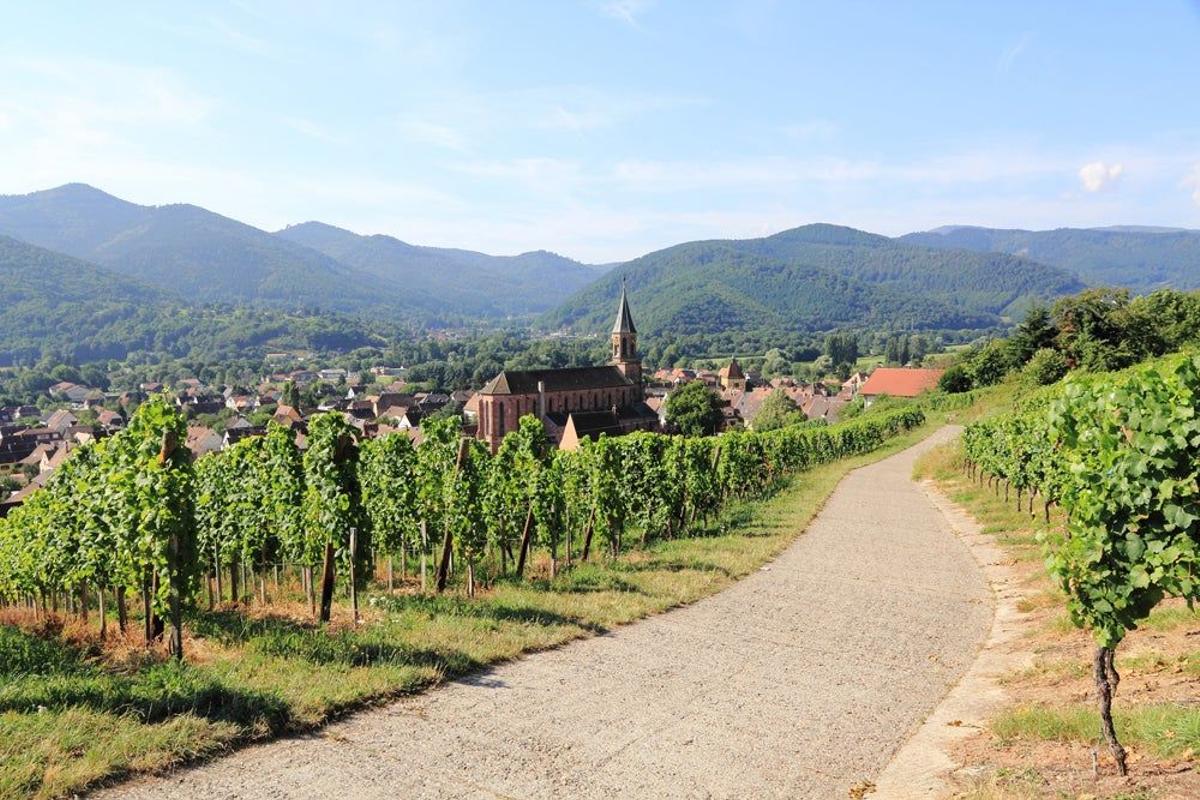 Eguisheim, viñedos