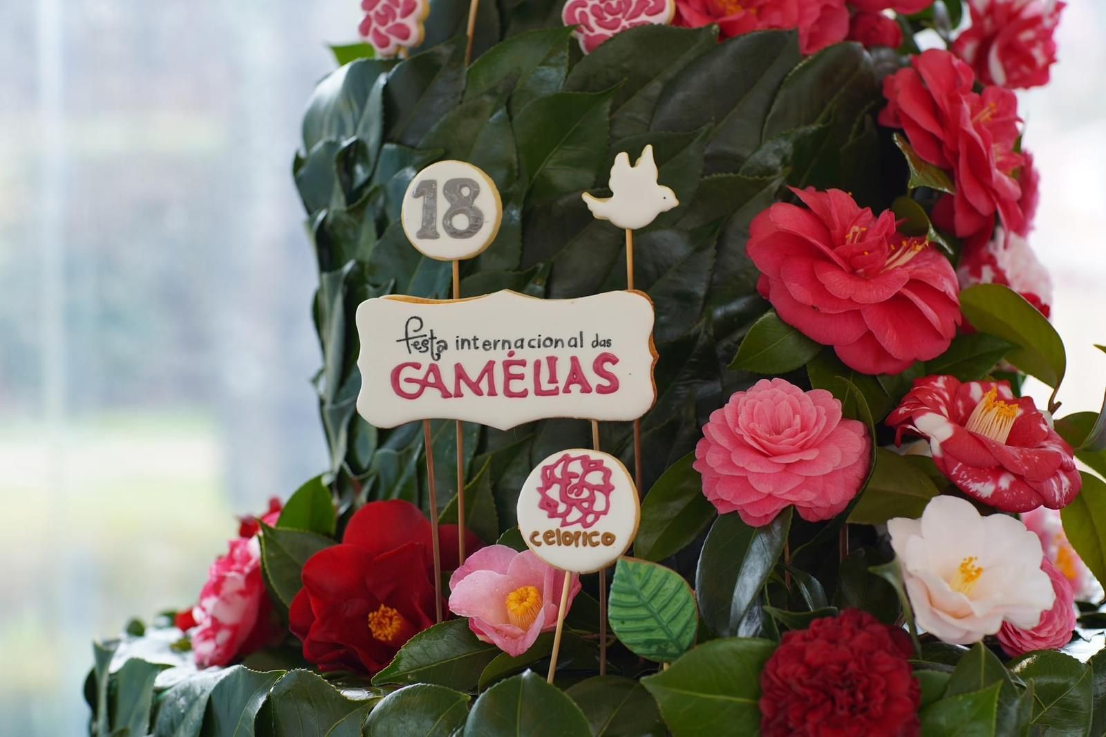 Cambados presumió de camelia en la feria de Celorico de Basto (Portugal).