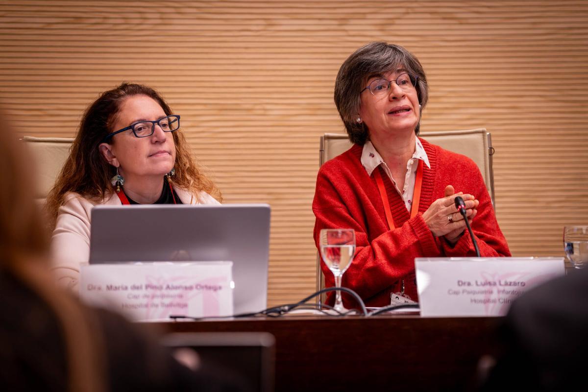 Las doctoras María del Pino Alonso -a la izquierda- y Luisa Lázaro, durante su comparecencia en la comisión de Salud del Parlament.